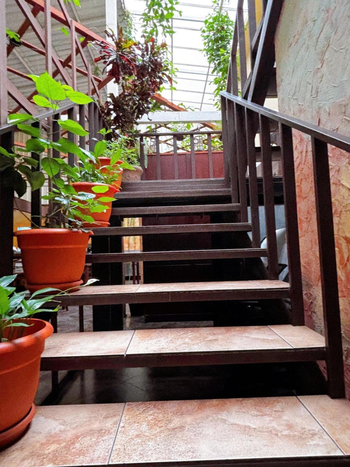 Antigua Inn Hotel Città del Guatemala Esterno foto